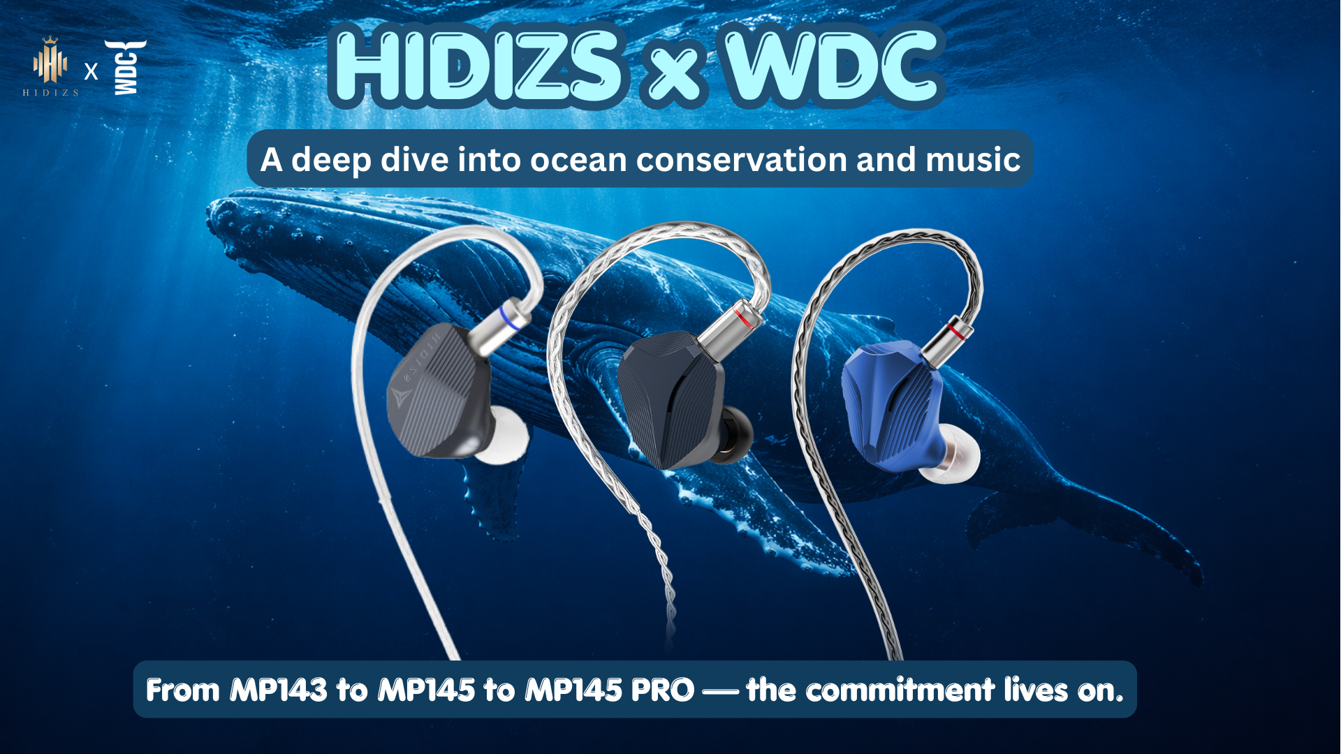 Hidizs x WDC: Protecting the Ocean, One Note at a Time