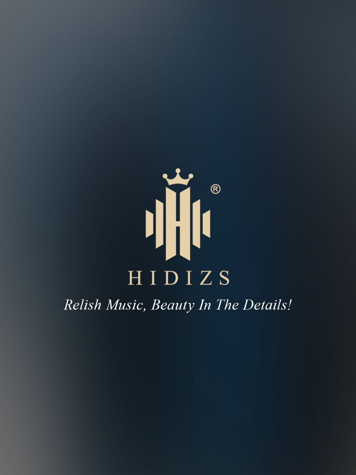 HIDIZS AP80 PRO-X Leather Case HIDIZS AP80 PRO-X Leather Case