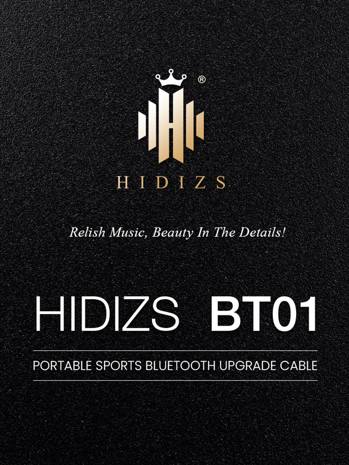 HIDIZS-BT01-M-23032702